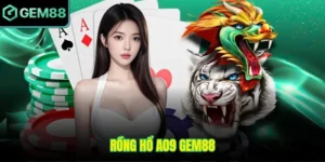 Rồng Hổ A09 Gem88